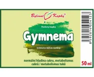 Gymnema (Gurmár) - Kräutertropfen (Tinktur) 50 ml