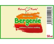 Herzblättrige Bergenie - Tropfen Pflanzenseele (Tinktur) 50 ml