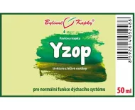 Ysop - Kräutertropfen (Tinktur) 50 ml