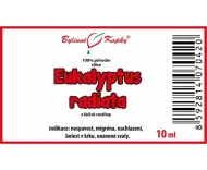 Eukalyptus radiata – 100 % natürliches ätherisches Öl – ätherisches  Öl 10 ml