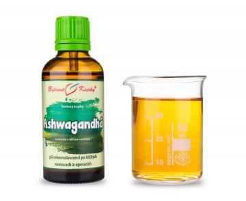 Ashwagandha - Kräutertropfen (Tinktur) 50 ml