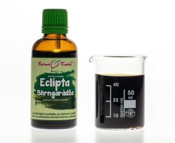 Eclipta (Eklipta - Bhrngaradža) Kräutertropfen (Tinktur) 50 ml