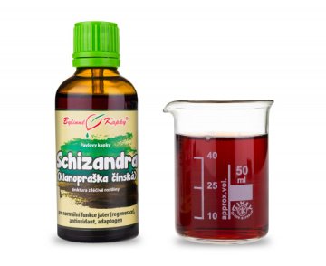 Schizandra (TCM) - Kräutertropfen (Tinktur) 50 ml