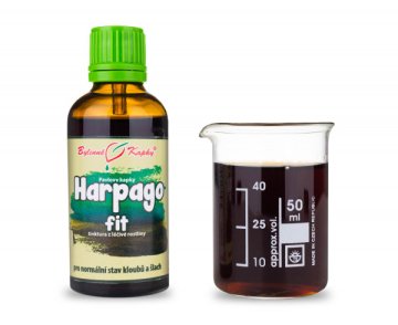 Harpagofit - Kräutertropfen (Tinktur) 50 ml
