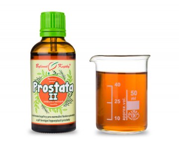 Prostata II - Kräutertropfen (Tinktur) 50 ml