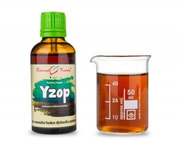 Ysop - Kräutertropfen (Tinktur) 50 ml
