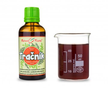 Colon - Kräutertropfen (Tinktur) 50 ml