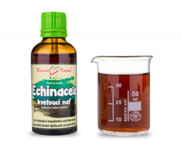 Echinacea Blütenfaden (Kräutertropfen - Tinktur) 50 ml