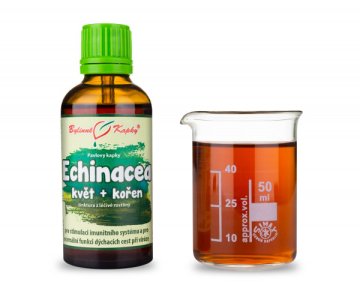 Echinacea Blütenstiel + Wurzel (Kräutertropfen - Tinktur) 50 ml