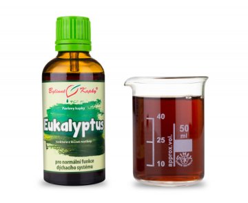Eukalyptus - Kräutertropfen (Tinktur) 50 ml