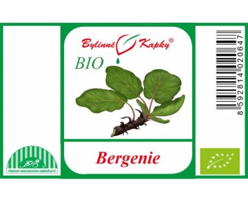 Herzblättrige Bergenie BIO - Kräutertropfen (Tinktur) 50 ml