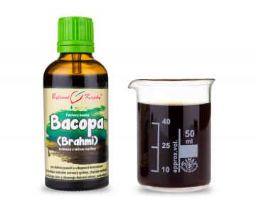 Bacopa (Bacopa - Brahmí) - Kräutertropfen (Tinktur) 50 ml