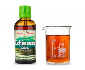 Echinacea-Wurzel (Kräutertropfen - Tinktur) 50 ml
